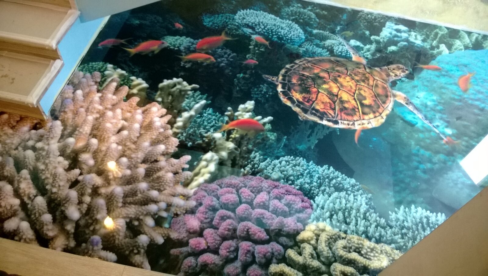 Эпоксидные 3д полы в квартире